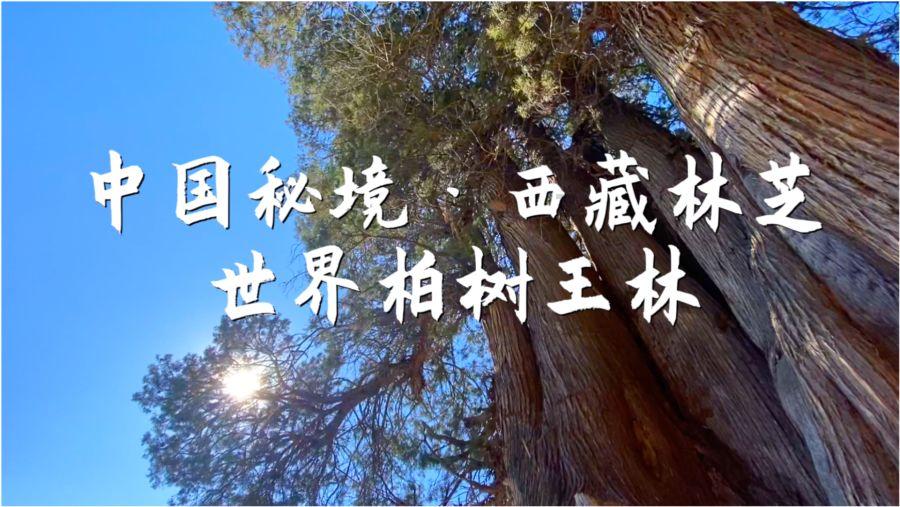 甜美公主的绚丽装扮